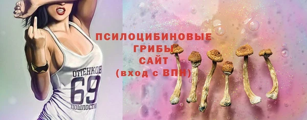 индика Гусь-Хрустальный