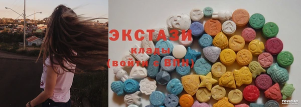ПСИЛОЦИБИНОВЫЕ ГРИБЫ Козловка
