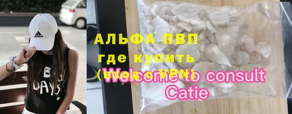 твердый Гусев