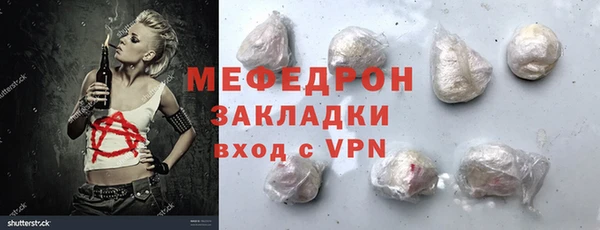 индика Гусь-Хрустальный