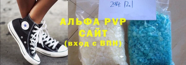 индика Гусь-Хрустальный