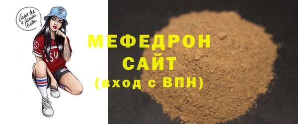 индика Гусь-Хрустальный