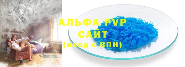 твердый Гусев