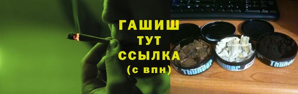 дмт Дмитров