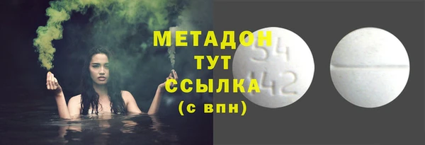 индика Гусь-Хрустальный