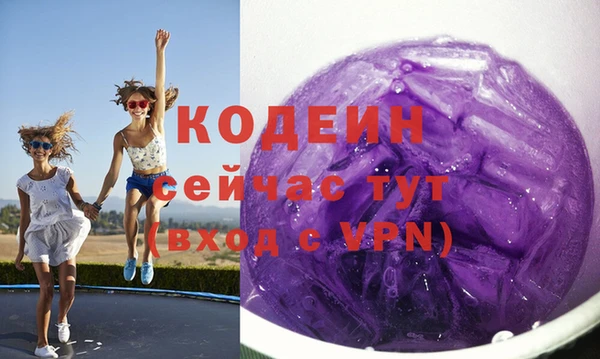 твердый Гусев