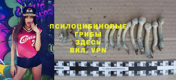 дмт Дмитров