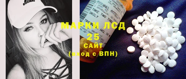 индика Гусь-Хрустальный