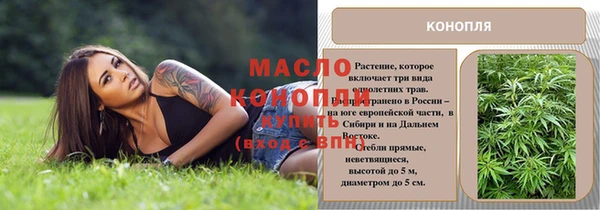 дмт Дмитров