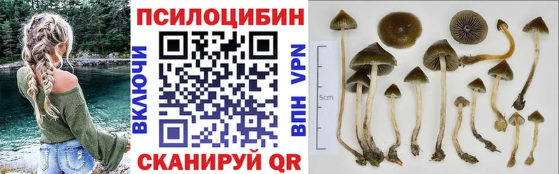 Галлюциногенные грибы Magic Shrooms Кашира