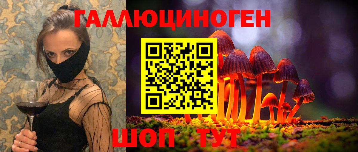 Кашира  Псилоцибиновые грибы GOLDEN TEACHER  Вход с VPN 